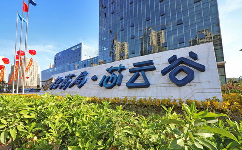 漳州開發(fā)區(qū) 打造廈門灣互聯(lián)網(wǎng)創(chuàng)業(yè)新高地