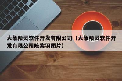 大象精靈軟件開發 廈門軟件開發領域的創新與探索