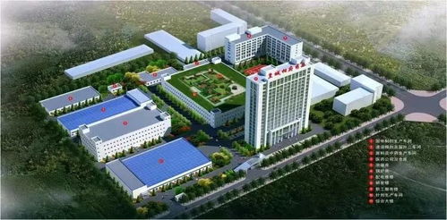 科技創新引領市場，皇城藥業與廈門軟件共鑄“小巨人”之路